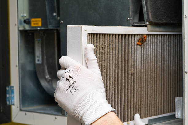 Best Affordable HVAC Duct Cleaning  in Itasca, TX
